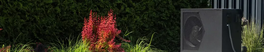 Por qué febrero es el mejor momento para preparar la piscina en Mallorca