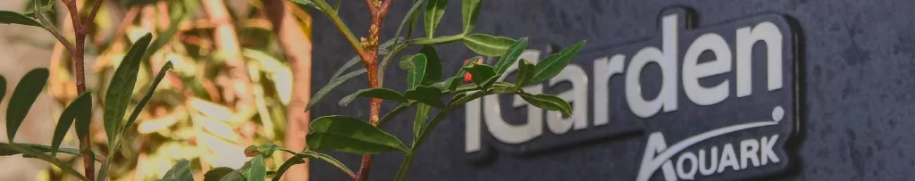 Badesaison verlängern Warum die richtige Poolheizung den Unterschied macht