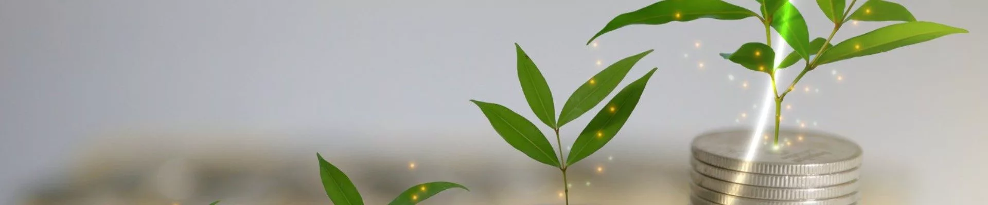 Wirtschaftlichkeit und Amortisation