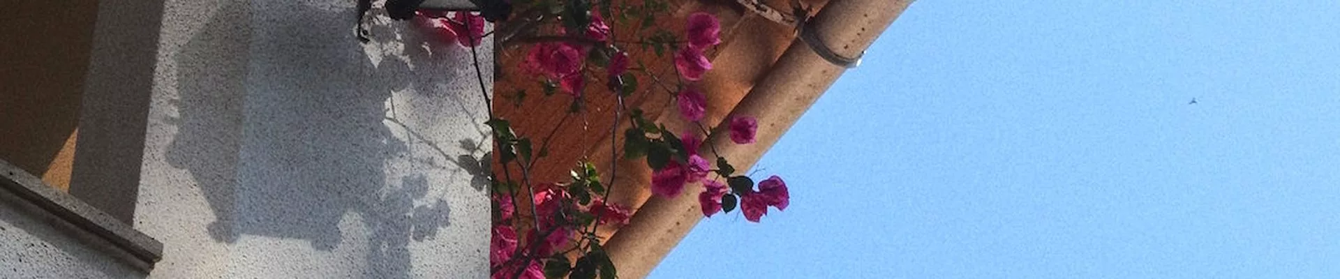 Facade of a Mallorcan house with bougainvillea Facade of a Mallorcan house with bougainvillea