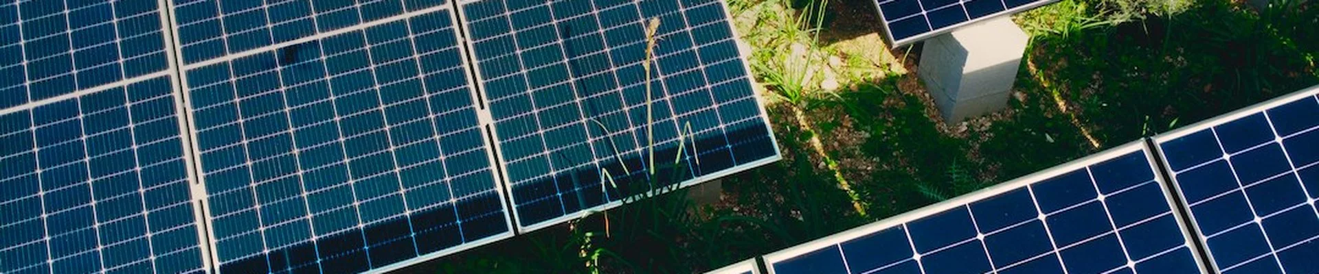 Solarmodule unter Pinien auf Mallorca Solarmodule unter Pinien auf Mallorca