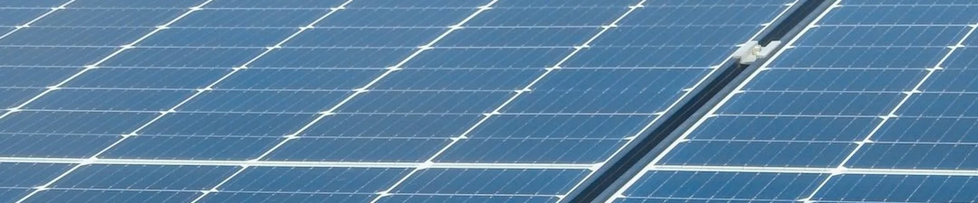 Paneles solares entre árboles mediterráneos en una cubierta plana